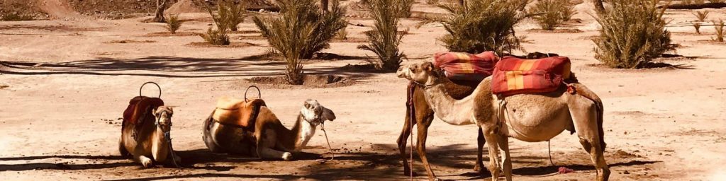 marrakech en famille