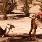 marrakech en famille