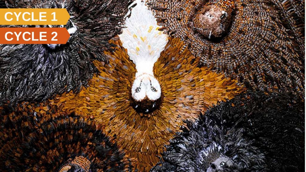 sorties scolaires maternelle a paris - musée de la chasse et de la nature